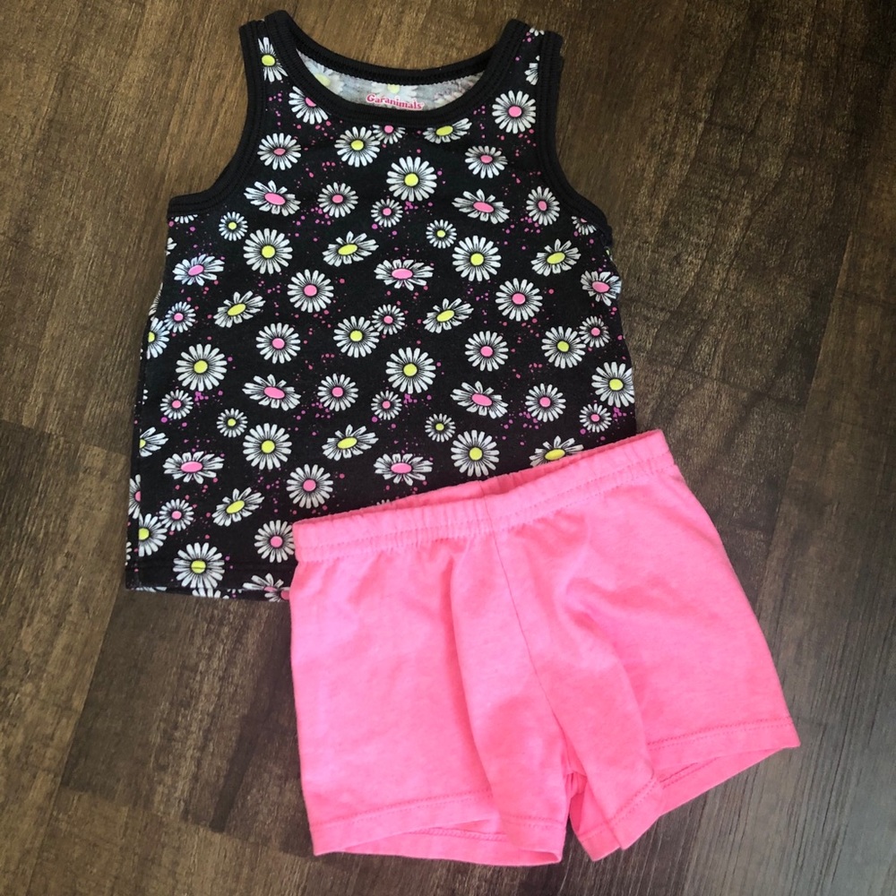 Garanimals 2-piece set 12 months